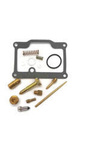Polaris P300 2x4 Vergaser-Reparatursatz 25-95300