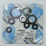 Set of engine seals for motorcycles