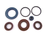 PIAGGIO/VESPA Zip NRG NTT ZIP 50 ENGINE OIL SEAL KIT