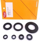 OSL-225 engine seal kit