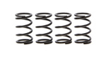 Ressorts d'embrayage (4 pi?ces) Kawasaki KLX 110 02-04 OEM 5730041
