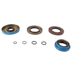 REAR DIFFERENTIAL SEALS POLARIS ACE, GENERAL, RZR, RZR XP, RANGER