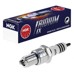 CANDELA BR8EIX (NO. 5044) (IW24)