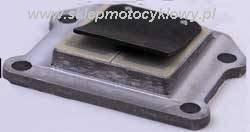 membrana gaźnika kpl.