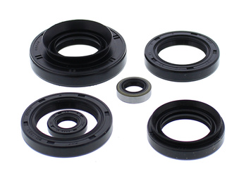 KAWASAKI KVF750 BRUTE FORCE '15-'19, KVF750 BRUTE FORCE EPS '15-'1 ENSEMBLE DE JOINT MOTEUR (KIT)