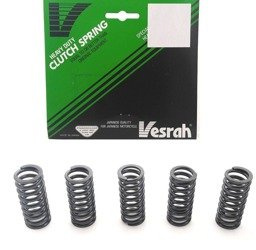 HONDA TRX 250 R Fourtrax springs 86-