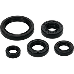 YAMAHA Y250 '19-'22 (YZ 250F) WRF 250 '20'-'22 ENGINE SEAL KIT , FANTIC XEF 250