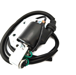 Ignition Coil Honda CT 125 FL 250 MR 175 TL 125 S XL 100 OEM 30500-950-405