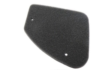 Filtr powietrza do Peugeot Buxy Looxor 50 1995-2006 Hercules Sachs Limbo