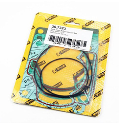 TOP-END GASKETS BETA 300 RR '13-'21, XTRAINER 300 (HEAD+CYLINDER)