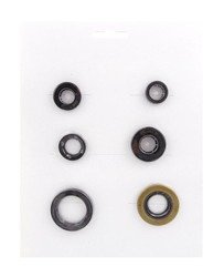 Kit de retenes de aceite para motor Honda TRX 400 EX Sportrax 1999-2008 4.2517.04