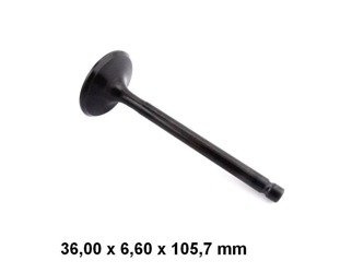 zawór ssący GG-1043-IN