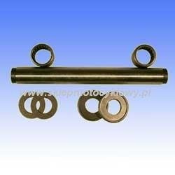 set di cuscinetti per forcellone