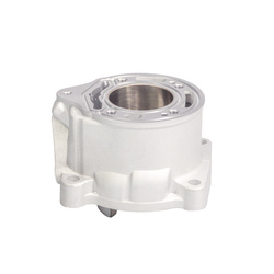 2024/05 CYLINDER KTM SX 65 '09-'23 , HUSQVARNA TC 65 '17-'23 , GAS GAS MC 65 '21-'23 (STD 45MM) NICASIL