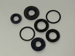 Kit de juntas para motor Centauro