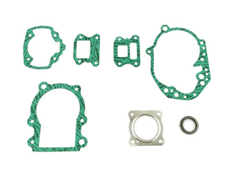 Set guarnizioni motore per PEUGEOT Zenith Vivacity Trekker T SV Speedake Elystar 50
