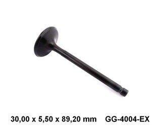 Valvola di scarico GG-4004-EX