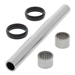 YAMAHA YFM 250 RAPTOR SWINGARM REPAIR KIT '08-'13
