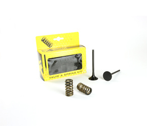 EXHAUST VALVES /SET WITH SPRINGS/ KTM 350 EXCF 12-16