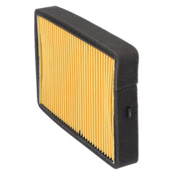 FILTRO DE AIRE BENELLI BN 125 '18-'20 (OEM: 49200L290000)