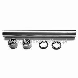 Kit di riparazione braccio di controllo SWS-411