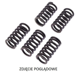 SPRĘŻYNY SPRZĘGŁOWE HYOSUNG GT 125 COMET '03-'06, GV 125 AQUILA '00-'08, GV 125M AQUILLA '09-'17, RT 125 '05-'11, S