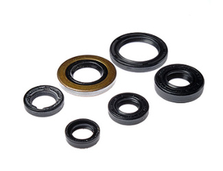 KIT DE RETENCIÓN DEL MOTOR HONDA TRX 400EX '05-'08, TRX 400X '09-'14 (822278)