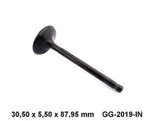 zawór ssący GG-2019-IN