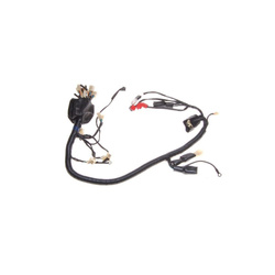 SISTEMA ELETTRICO ATV 250 STXE