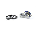 CUSCINETTI SULL'ASSE POSTERIORE CON GUARNIZIONI SUZUKI LTZ 400 '03-'08 (25-1663)