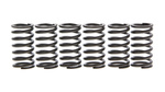 SPRĘŻYNY SPRZEGŁA HONDA CRF 150 RB 07-09