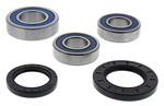 ŁOŻYSKA KOŁA TYLNEGO Z USZCZELNIACZAMI SUZUKI GSR 600 '06-07, GSXS 750 '16 - ZASTĘPUJE 25-1606